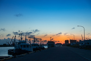 DSC00166.jpg