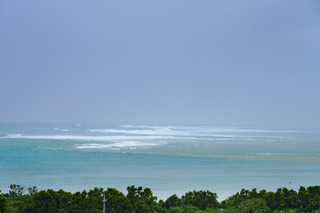 DSC00307.jpg