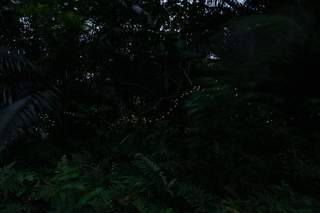 S2019-03-03.jpg