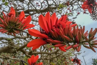 SIMG_20190318_164006.jpg