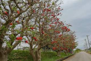 SIMG_20190318_164044.jpg